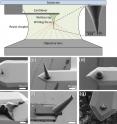 3-D direct laser writing based on two-photon polymerization can be used to create custom-designed tips. (a) Schematic drawing of the writing process on the cantilever using two-photon polymerization. The inset shows a scanning electron microscope image of the tip apex. To obtain a sharp and defined tip apex, it was written with optimized (but slower) parameters so that the surface of the tip apex is smoother than the rest of the structure. A large variety of tips can be fabricated in this way. (b) High (20 microns) and thin (5 microns at the base) tip. (c) Extremely long tip with a height of 100 microns. (d) Spherical tip with diameter of 10 microns. (e) Tip in the shape of the famous Swiss mountain "Matterhorn." (f) Protruding tip that is visible from the top during scanning. (g) Shrunk conical tip after carbonization through pyrolysis (decomposition caused by exposure to high temperatures).
