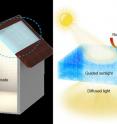 This is a wood composite as an energy efficient building material: Guided sunlight transmission and effective thermal insulation.