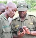 This photo shows rangers from the Uganda Wildlife Authority Entering Data on a smart phone.