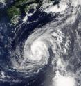 NASA's Terra satellite provided infrared data on Tropical Storm Lionrock on Aug. 23 at 0140 UTC south of Japan in the northwestern Pacific Ocean.