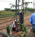 Drilling a well for groundwater near Hanoi, Vietnam.