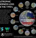 This infographic shows catastrophic wilderness loss since the 1990s.