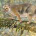 Reconstruction by palaeoartist Peter Schouten of <i>Microleo attenboroughi</i> prowling along the branches of rainforest trees in search of prey.