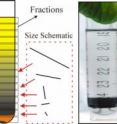 In a schematic of NIST's length separation technique for carbon nanotubes (l.), the nanotubes start at the bottom of a dense fluid. When spun in a centrifuge, the nanotubes begin to migrate through the fluid driven by their buoyancy, but the longer ones move faster, spreading them out by length. Photos (r.) shows a typical sample at the start and after 94 hours of spinning at 1257 radians per second (roughly 12,000 RPM).