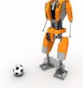 A member of the Dutch RoboCup team, which is to participate in the 2008 RoboCup Soccer competition in China this summer.