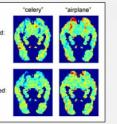 Predicted fMRI images for "celery" and "airplane" show significant similarities with the observed images for each word. Red indicates areas of high activity, blue indicates low activity.