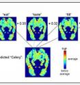 Carnegie Mellon researchers predicted the functional magnetic resonance imaging (fMRI) activation pattern for concrete nouns such as "celery" by statistically analyzing each noun's co-occurrence with 25 verbs such as "eat," "taste," and "fill" in a text database. The predicted brain activity is created by combining the fMRI signatures for each of these verbs weighted according to the frequency of their co-occurrences with the noun.