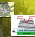 A flake of exfoliated graphene 50 micrometers square was placed on layers of silicon dioxide insulator and a silicon gate. The schematic, left, shows how gold contacts were attached to the graphene to apply gate voltage. A 10-micrometer beam of infrared synchrotron radiation (red spot) was focused onto the graphene to measure transmission and reflectance spectra.