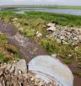 Flash floods and excessive rainfall have added to farmers' woes.