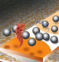 A new method for reading DNA (or RNA) microarrays is based on measuring the electrostatic repulsion between silica microspheres and hybridized DNA. Surface areas containing double-stranded DNA (red) or single-stranded DNA (blue) can be easily distinguished from each other and from background areas by the naked eye.