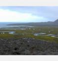 Scientists are studying the health of this estuary and its surrounding salt marsh in Baja, Mexico.