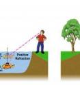 Above is an illustration of how a fish in water is seen by an observer, with the red lines marking the refraction of light and the purple lines representing the path towards the perceived location of the fish, which appears above its actual location in both panels. On the left, the slightly transparent image of the fish indicates where it is perceived by the observer because of the positive refraction of light. If water exhibited negative refraction, the observer would actually see the fish swimming above the water's surface, as shown in the image on the right.