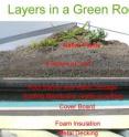 Side view of components that comprise the 18 simulated green roofs in the study.