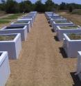 The research area at the Lady Bird Johnson Wildflower Center with all 24 simulated roofs. A black-topped roof and white roof are among those visibe in the left column.