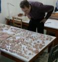 Tim Weyrich, a postdoctoral teaching fellow in computer science at Princeton, examines fresco fragments in Santorini. Weyrich is the technical lead researcher on the project.