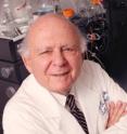 Research led by Dr. Roger Unger, professor of internal medicine, has shown in rodents that leptin, a hormone produced by the body's fat cells, lowers blood glucose levels. The discovery may lead to a treatment option other than insullin for humans with type 1 diabetes. Research led by Dr. Roger Unger, professor of internal medicine, has shown in rodents that leptin, a hormone produced by the body's fat cells, lowers blood glucose levels. The discovery may lead to a treatment option other than insullin for humans with type 1 diabetes.
