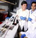 Georgia Tech Regents' Professor David Ku, consultant Harris Bergman and graduate student Prem Midha (left to right) set up a Masterflex pump system, which is used to create pulsatile blood flow through the prosthetic vein valve to test for thrombus formation.
