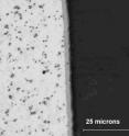 A photograph of an AlMgB14 coating on a steel substrate.  The substrate is the mottled structure on the left-hand side of the photo and the coating is the thin, darker strip running along the edge of the steel.  (The blemishes on the steel are carbide inclusions)  The coating has a thickness of approximately 2 to 3 microns (about one ten thousandths of an inch).