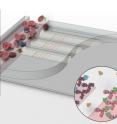This figure represents an artist's drawing (more or less to scale) of the channel through which the whole blood is flowed, and three of the plasma-skimming channels.  The cells shown are mostly red blood cells, with a few white blood cells and platelets.  Barcodes are shown in each of the three plasma-skimming channels, and the expanded view of a barcode illustrates some of the salient aspects of the assay.  The different colors of the stripes correspond to different stripes of ssDNA.  Antibodies are assembled onto specific stripes via DNA hybridization, just prior to execution of the assay.  As the plasma flows through the skimming channels, proteins bind to their cognate antibodies.  After plasma flow is completed, the assay is developed by introducing fluorescently labeled, secondary antibodies. The green stripe in each of the barcodes serves as an alignment marker, and the individual proteins are detected by their spatial location relative to this stripe.  Each of the plasma skimming channels contains between 30 and 50 complete barcodes, and so protein levels are assessed by averaging over many barcodes readouts.
