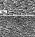 Researchers at Rensselaer Polytechnic Institute have discovered a new method for growing slimmer copper nanorods, which can be used as a low-temperature bonding agent for holding together the layers of next-generation 3-D integrated computer chips. The researchers found that interrupting the nanorod growth process results in thinner rods. Pictured are scanning electron images, at the same magnification, of copper nanorods that have been grown without interruption (top), with two interruptions (middle), and with six interruptions (bottom).