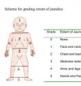 Nurses used this five-point scale to grade the farthest extent of jaundice in the newborns they examined.