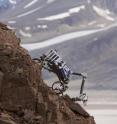 This photo shows the testing of next generation rovers onboard the Arctic Mars Analogue Svalbard Expedition. This "Cliffbot" rover is being designed to sample rock outcrops on Mars and the Moon where scientifically relevant samples are easier to access.