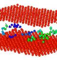 Between a polycrystalline material's grains (saffron layers) exist disorderly areas called grain boundaries, the behavior of which has been difficult to understand. The green and blue objects in the boundary are string-like collections of atoms that NIST scientists have recently shown behave like glass-forming liquids, a similarity that should help scientists analyze a wide range of materials. Between a polycrystalline material's grains (saffron layers) exist disorderly areas called grain boundaries, the behavior of which has been difficult to understand. The green and blue objects in the boundary are string-like collections of atoms that NIST scientists have recently shown behave like glass-forming liquids, a similarity that should help scientists analyze a wide range of materials.