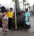 Vertical erosion caused by Cyclone Nargis can be seen on these palm tree roots, and is being measured by the survey team