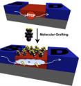 Attaching molecules to semiconducting silicon affects the threshold voltage, or gate voltage, required to create a conductive path between the source and drain electrodes (blue) and turn the device on. The molecules influence the amount of charge carriers available within the device layer (red).