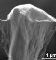 An odako grown at Rice University shows single-walled nanotubes lifting an iron and aluminum oxide "kite" as they grow while remaining firmly rooted in a carbon base.