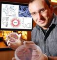 A team of researchers, including Georgia Tech’s Kostas Konstantinidis, analyzed the gene sequences of 10 Shewanella strains and found that nearly half of the almost 10,000 protein-coding genes were strain-specific. A team of researchers, including Georgia Tech’s Kostas Konstantinidis, analyzed the gene sequences of 10 Shewanella strains and found that nearly half of the almost 10,000 protein-coding genes were strain-specific.