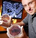 Kostas Konstantinidis, an assistant professor in Georgia Tech’s School of Civil and Environmental Engineering, used genomics and proteomics to identify hidden diversity in the Shewanella family of bioremediation microbes. Kostas Konstantinidis, an assistant professor in Georgia Tech’s School of Civil and Environmental Engineering, used genomics and proteomics to identify hidden diversity in the Shewanella family of bioremediation microbes.