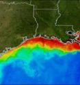This is a map showing the Gulf of Mexico "Dead Zone." Low-oxygen areas appear in red.