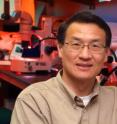 Scientists at the Medical College of Georgia have created what appears to be a schizophrenic mouse by reducing the inhibition of brain cells involved in complex reasoning and decisions about appropriate social behavior. Pictured is Dr. Lin Mei, a developmental neurobiologist who directs MCG's Institute of Molecular Medicine and Genetics.