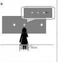 Volunteers were instructed to look at a central cross on a screen while two white squares were briefly shown to the left and right side of the cross. The volunteers had to indicate which of the squares was farther away from the cross. The results reveal that hand amputations affect visuospatial perception.