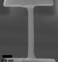 Scanning electron microscope image of a typical as-fabricated 100-nm-diameter tensile sample.