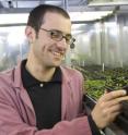 This is Dr. Cyril Zipfel of Norwich BioScience Institutes.