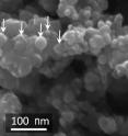 This scanning electron micrograph shows carbon-coated silicon nanoparticles on the surface of the composite granules used to form the new anode.