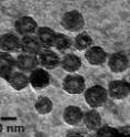 These are hollow or porous NiO nanoparticles of different sizes (6, 26, and 96 nm).
