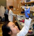 Ph.D. student Dissaya “Nu” Pornpattananangkul is developing a smart system of drug delivery for a natural product found in both coconut oil and human breast milk -- lauric acid. Lauric acid shines as a possible new acne treatment thanks to a bioengineering graduate student from the UC San Diego Jacobs School of Engineering. The student developed a “smart delivery system” – published in the journal <i>ACS Nano</i> in March 2010 -- capable of delivering lauric-acid-filled nano-scale bombs directly to skin-dwelling bacteria (<i>Propionibacterium acnes</i>) that cause common acne.  On Thursday April 15, 2010 bioengineering graduate student Dissaya “Nu” Pornpattananangkul will present her most recent work on this experimental acne-drug-delivery system at Research Expo, the annual research conference of the UC San Diego Jacobs School of Engineering.