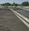 Sewage sludge, shown at a waste-water treatment plant, could provide a new source of biodiesel fuel that is cost-competitive with conventional diesel.