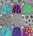 These are cryo-TEM and 3-D intensity profiles of (A and D) polygonal dendrimersomes. (B and E) Bicontinuous cubic particles co-exist with low concentration of spherical dendrimersomes. (C and F) These are micelles. (G and J) These are tubular dendrimersomes. (H and K) Rodlike, ribbon and helical micelles. (I and L) Disk-like micelles and
toroids.