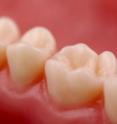 The gums produce a little-known fluid that could provide the basis of an early, noninvasive test for gum disease. The gums produce a little-known fluid that could provide the basis of an early, noninvasive test for gum disease.