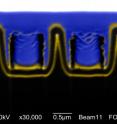 Boston College researchers report developing a "nanocoax" technology that can support a highly efficient thin film solar cell. This image shows a cross section of an array of nanocoax structures, which prove to be thick enough to absorb a sufficient amount of light, yet thin enough to extract current with increased efficiency, the researchers report in the journal <i>Physica Status Solidi.</i>
