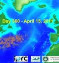 This image shows the spread of the oil spill on Day 360 (April 15, 2011), based on simulation.