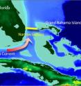 This topographical map with a yellow bar shows the narrow section of the Straits of Florida that form a bottleneck for the Florida Current.