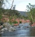 Oak Creek, Arizona, shows stream characteristics explained in the online learning modules.