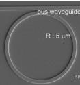 This is a scanning electron micrograph (SEM) of the silicon micro-ring resonator (radius: 5 micron) coupled to waveguide.