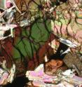 This is a photomicrograph of a thin section of lunar sample 14053.