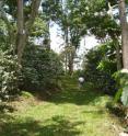 This is a view seens walking within a shade coffee farm in Chiapas, Mexico.